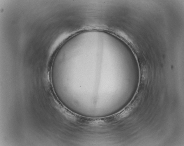 X0000070381462200606121240