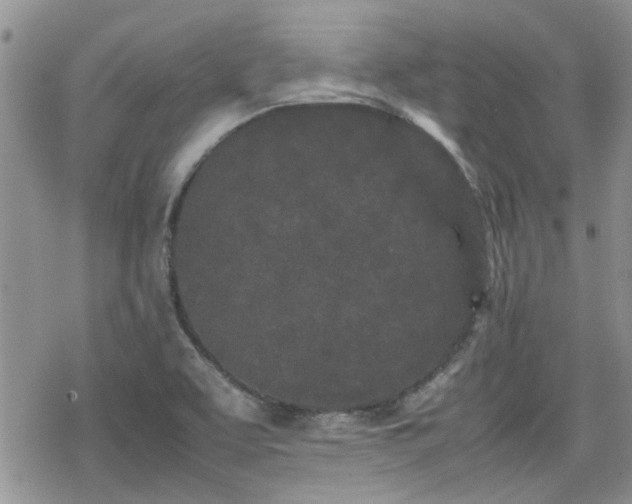 X0000070381463200606121240