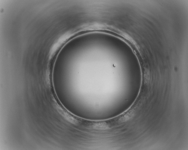 X0000070381464200606121240