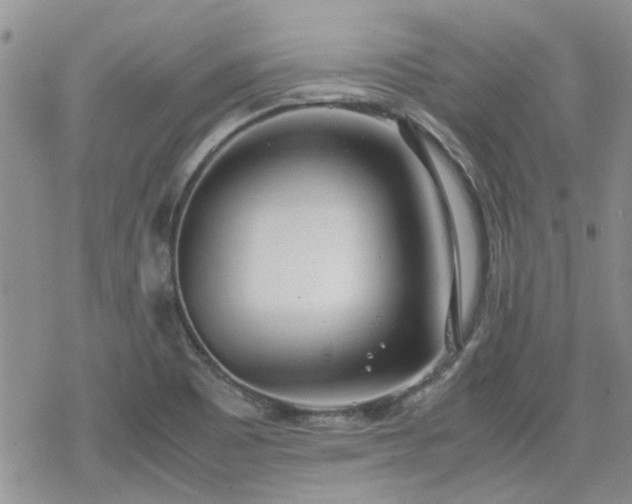 X0000070381465200606121240