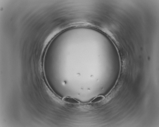 X0000070381466200606121240