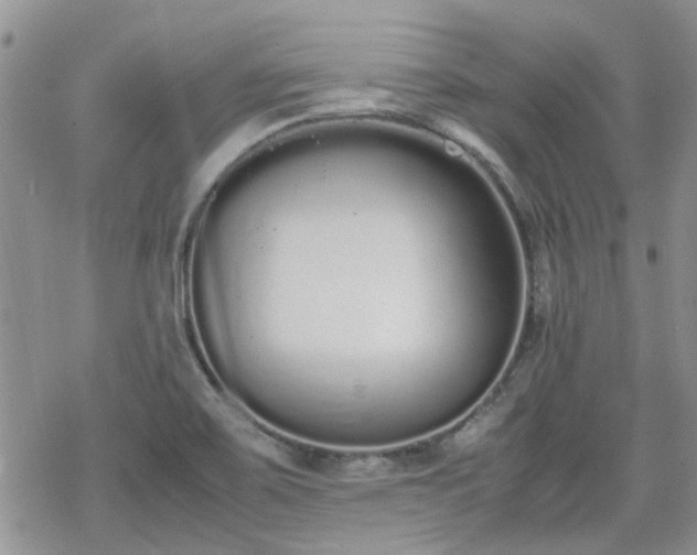 X0000070381467200606121240