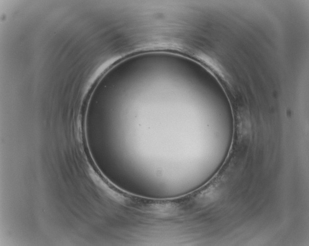 X0000070381468200606121240