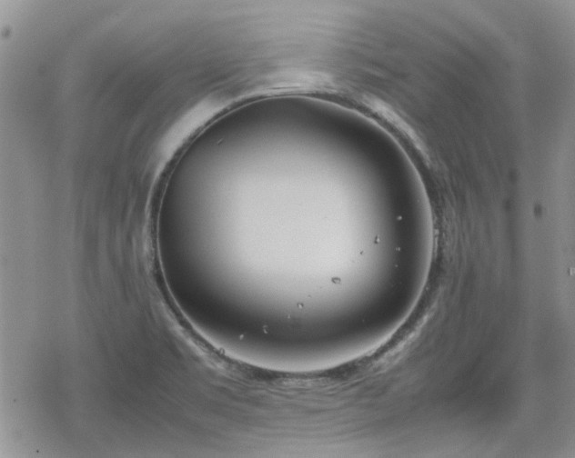 X0000070381469200606121240