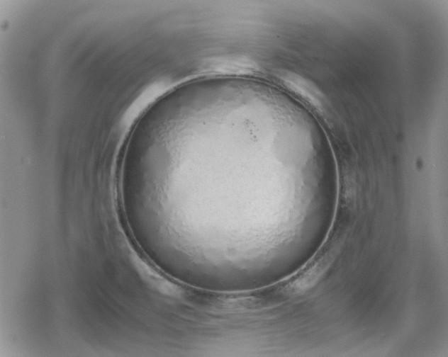 X0000070381471200606121240