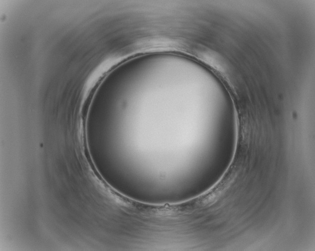 X0000070381472200606121240