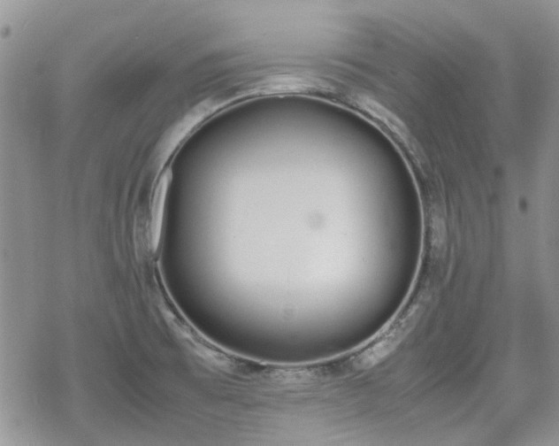 X0000070381473200606121240