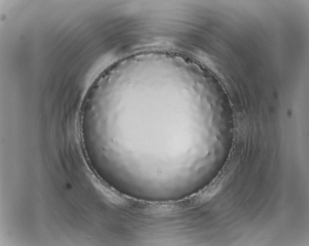 X0000070381474200606121240