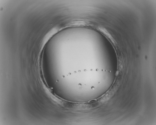 X0000070381475200606121240