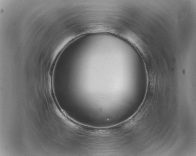 X0000070381476200606121240