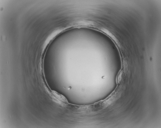 X0000070381477200606121240