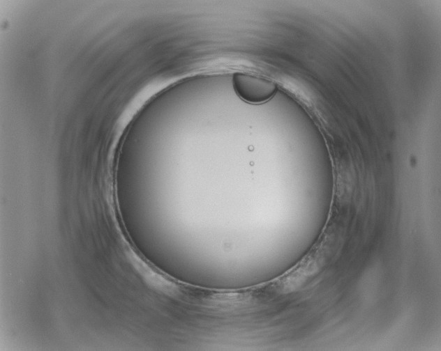 X0000070381478200606121240