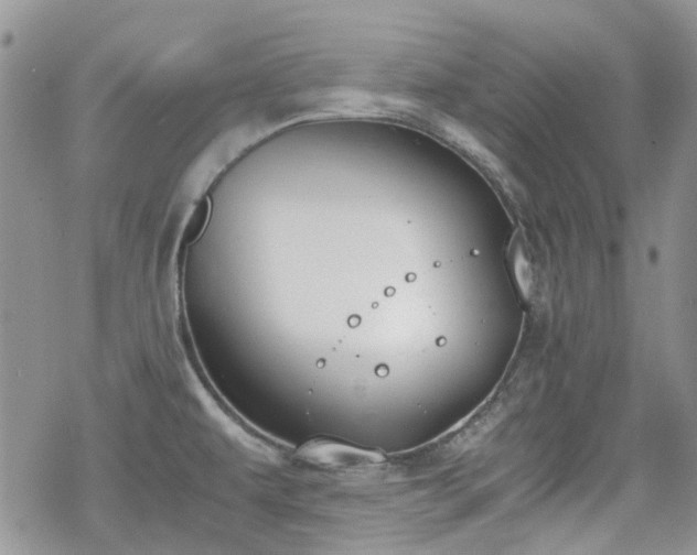 X0000070381479200606121240