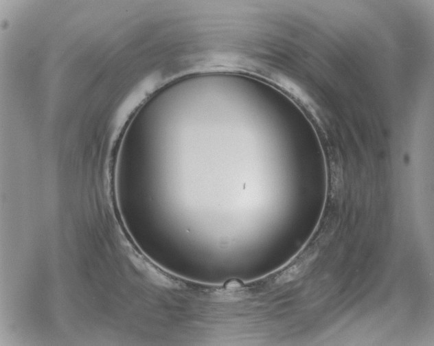 X0000070381480200606121240