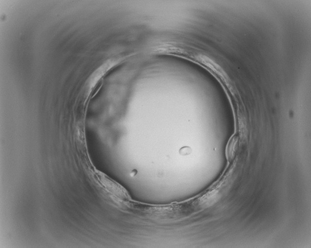 X0000070381481200606121240