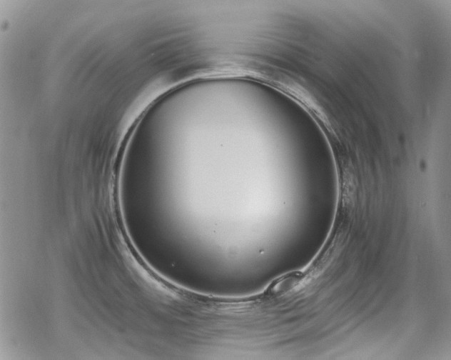 X0000070381484200606121240