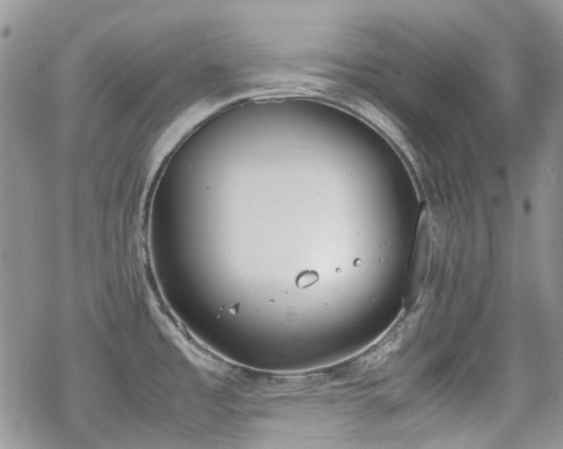 X0000070381485200606121240