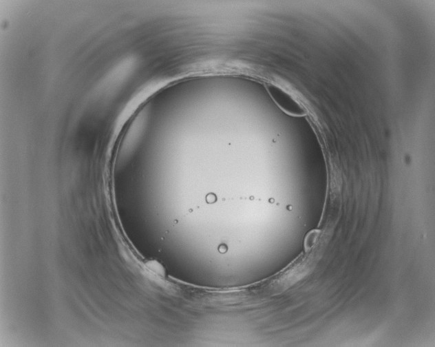 X0000070381486200606121240