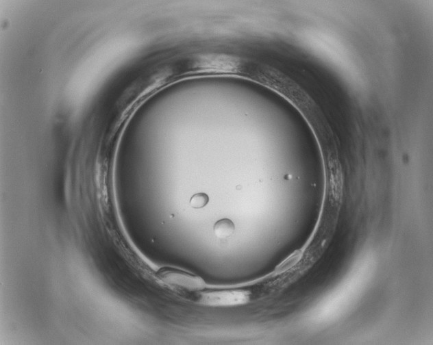 X0000070381487200606121240