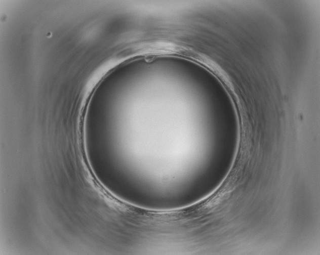 X0000070381488200606121240