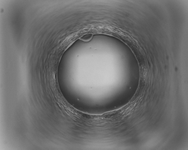 X0000070381489200606121239