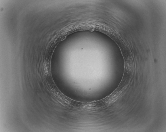 X0000070381490200606121239