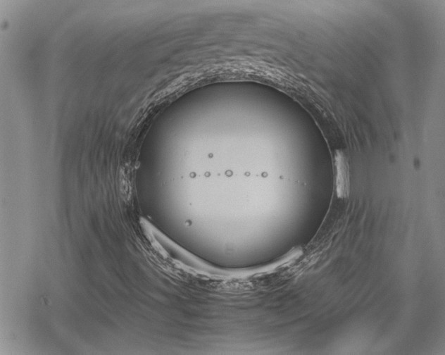 X0000070381491200606121239