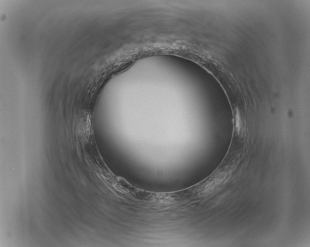 X0000070381492200606121239