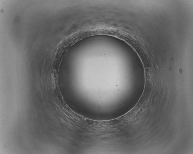 X0000070381493200606121239