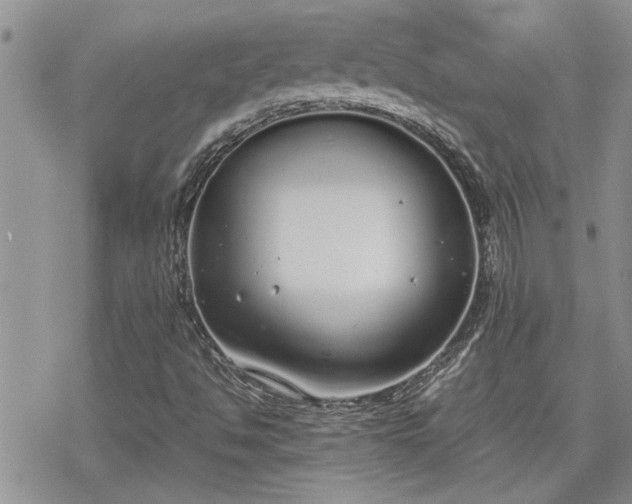 X0000070381494200606121239