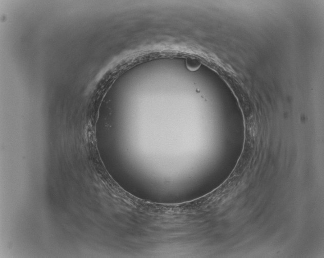 X0000070381495200606121239