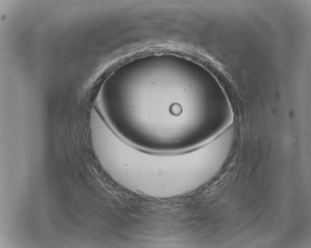 X0000070381496200606121239