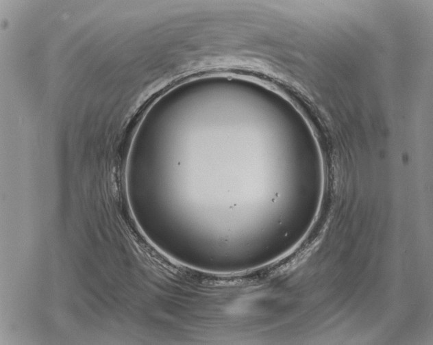 X0000070381497200606121239