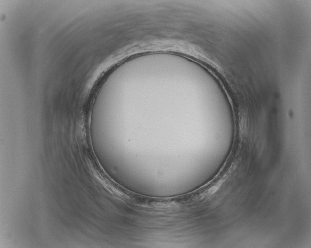 X0000070381498200606121239