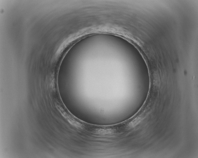 X0000070381499200606121239