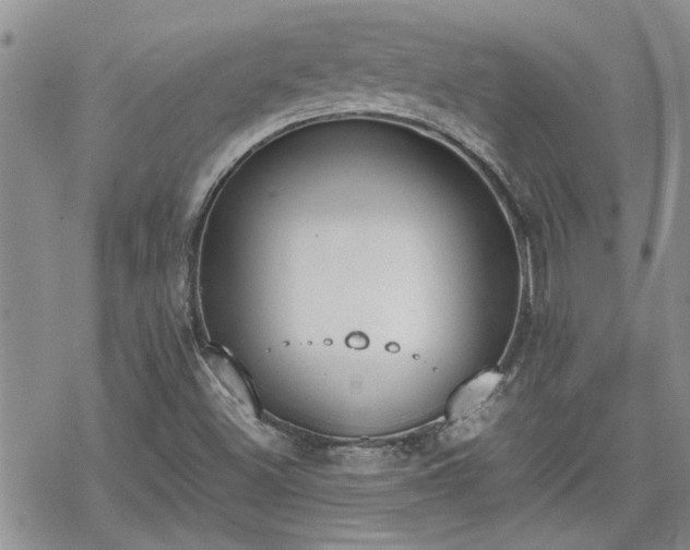 X0000070381500200606121239