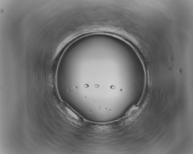 X0000070381501200606121239