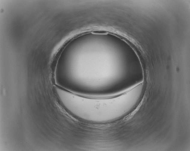 X0000070381502200606121239