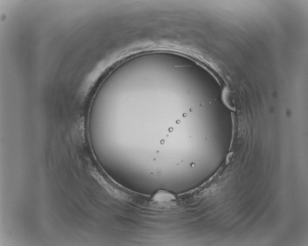 X0000070381503200606121239