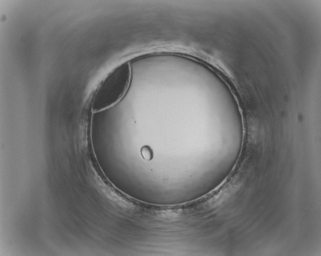 X0000070381504200606121240