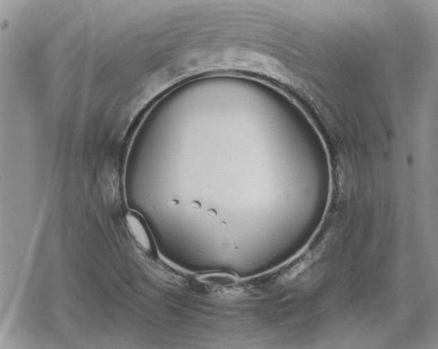 X0000070381505200606121240