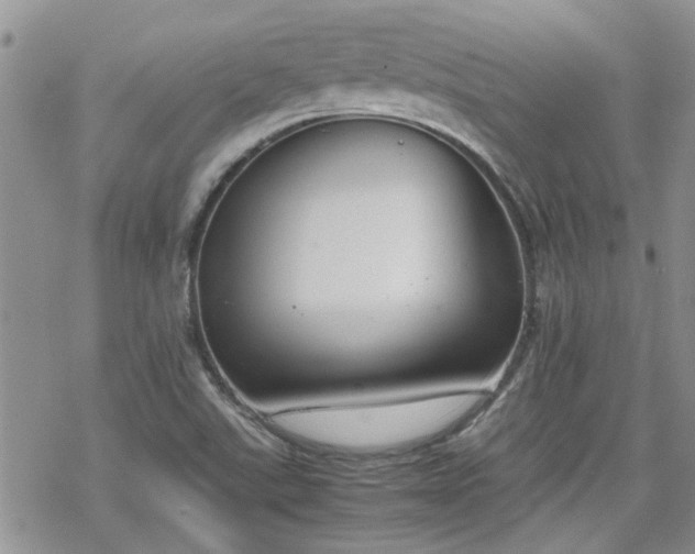 X0000070381507200606121240