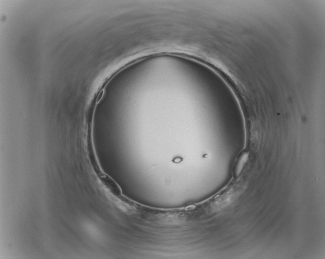 X0000070381508200606121240