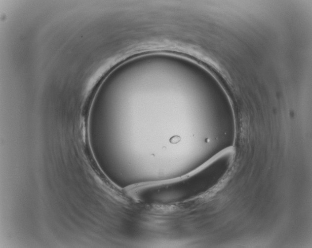 X0000070381509200606121240