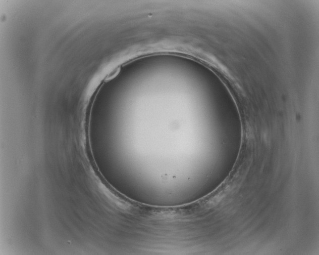 X0000070381512200606121240