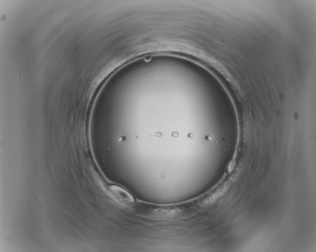 X0000070381513200606121240