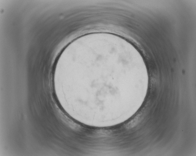 X0000070381514200606121240