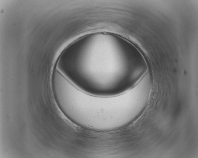 X0000070381516200606121240