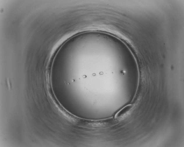 X0000070381517200606121240