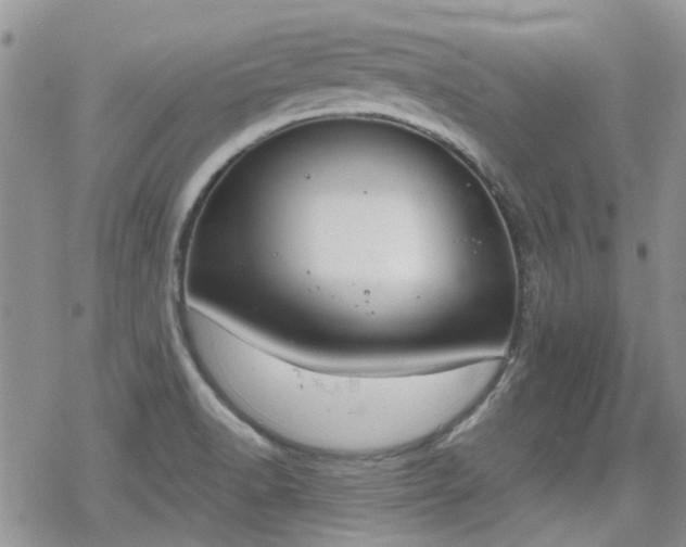 X0000070381518200606121240